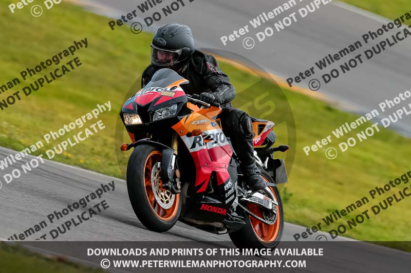 PJ Motorsport 2019;anglesey no limits trackday;anglesey photographs;anglesey trackday photographs;enduro digital images;event digital images;eventdigitalimages;no limits trackdays;peter wileman photography;racing digital images;trac mon;trackday digital images;trackday photos;ty croes